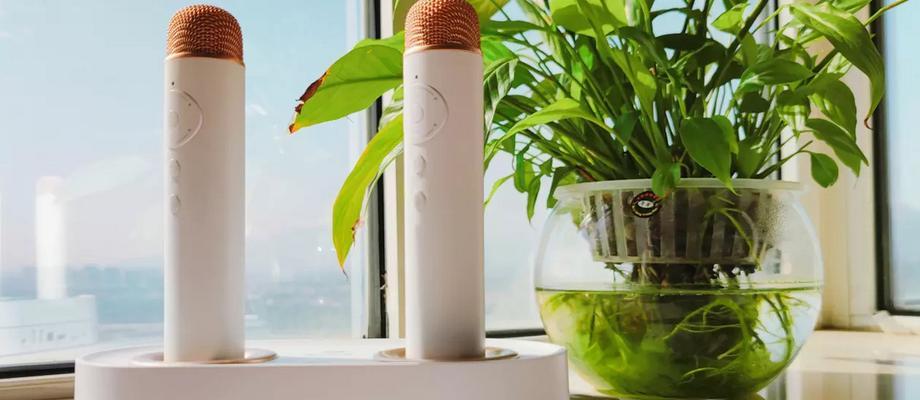 VivoX9Plus麦克风的优劣势分析（探究VivoX9Plus麦克风的声音质量与性能特点）