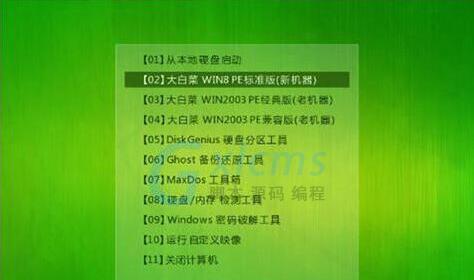 用大白菜自制系统教程，打造个性化的技术学习之路（自主学习，从大白菜开始）