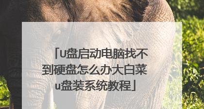 电脑启动大白菜U盘安装系统教程（轻松操作，快速安装大白菜系统）