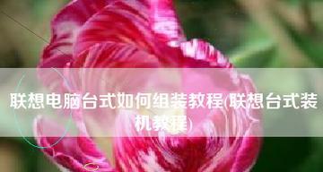 台式电脑教程网站（助您轻松掌握台式电脑技能，探索无限可能）