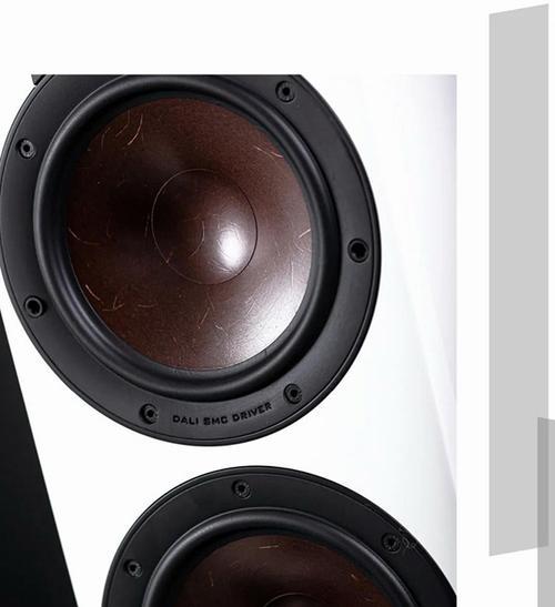 S5.1Mk2（探索S5.1Mk2的卓越音质与前卫设计）
