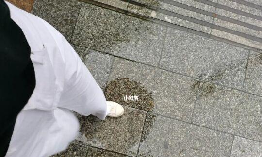 探索Hihey的魅力（发现多元交流与无限欢乐，尽在Hihey）