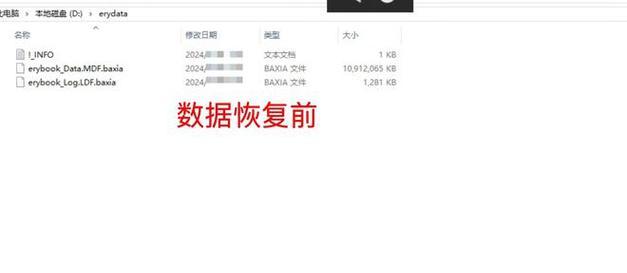 解密勒索——数据恢复公司的故事（揭秘勒索病毒的解密过程与技术手段，走进数据恢复公司的奋斗之路）