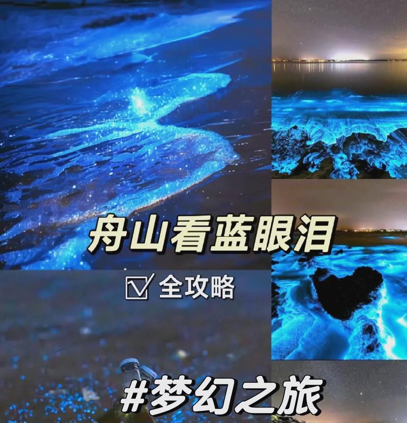 如何使用PEU盘修复电脑问题（简单易懂的教程指南，让您轻松解决电脑故障）