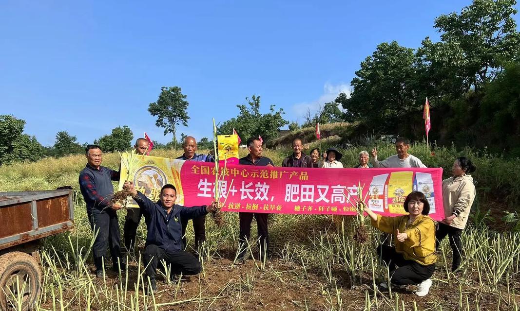 合力泰CG1部门的优势和发展前景（探索合力泰CG1部门的创新技术与市场竞争力）