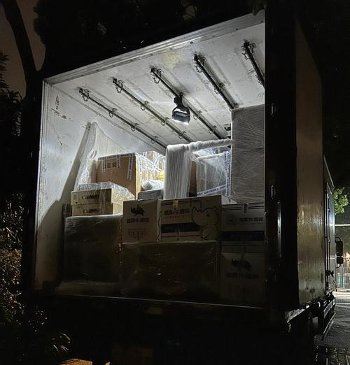 以蓝犀牛货运为主题的文章（探索蓝犀牛货运的运作方式与优势）