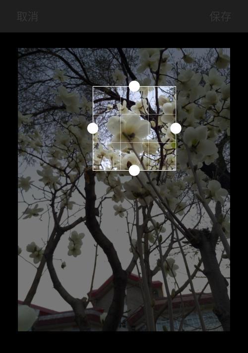 魅族X5手机功能全面解析（一款功能强大的智能手机，让你体验无限可能）
