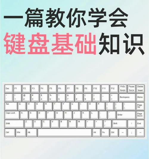 电脑键盘全图详细解说——探索键盘世界的奥秘（从按键到功能，了解键盘的一切）