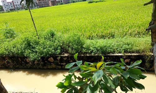 小米5s拍照效果如何？（小米5s拍照质量评测及特点解析）