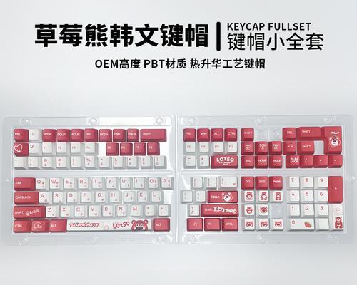 韩语打字电脑键盘教程（快速掌握韩文输入法，成为高效打字达人）